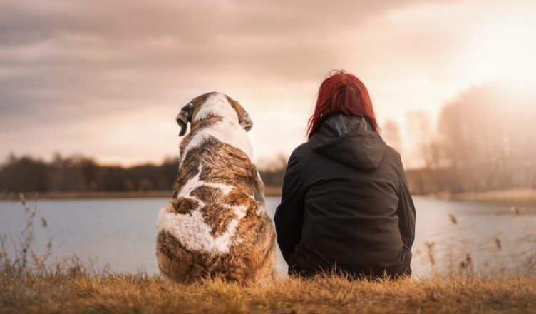 mentale gezondheid